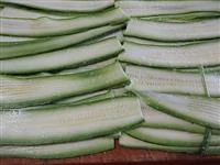 zucchine grigliate sott'olio immagine 1