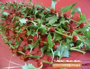 spinacio fragola
