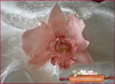 Orchidea con pasta di zucchero o gum paste