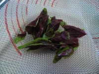 involtini salmone spinacio cinese immagine 1