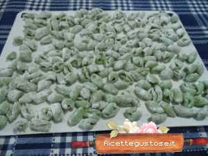 gnocchi di ricotta all'ortica ricetta