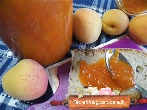 confettura di albicocche