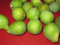 Fichi freschi tagliati a metà