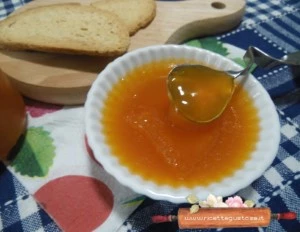 ricetta gelatina di albicocche