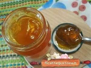 ricetta gelatina alla frutta