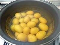 mandarini cinesi sciroppati immagine 2