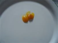 marmellata di albicocche immahine 2