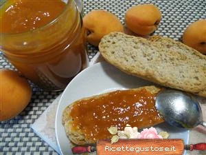 ricetta marmellata di albicocche