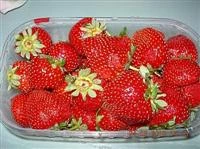 marmellata di fragole immagine 1