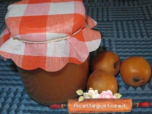 marmellata di nespole light