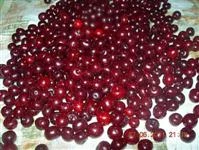 marmellata di visciole immagine 1