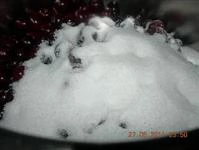 marmellata di visciole immagine 2