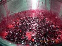 marmellata di visciole immagine 3