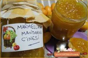 marmellata mandarini cinesi kumquat ricetta