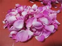 marmellata petali di rosa immagine 1