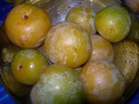 prugne gialle sciroppate immagine 1