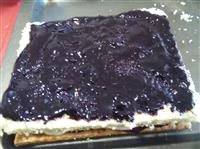 diplomatici ai frutti di bosco immagine 6