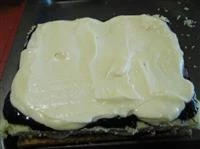 diplomatici ai frutti di bosco immagine 5