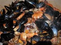 calamarata ai frutti di mare immagine 6