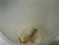 calamarata panna e salmone immagine 2