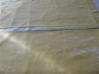  fettuccine allo champagne e pesce immagine 2