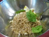 avena in insalata immagine 4