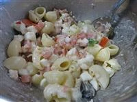 conchiglie fredde estate immagine 3