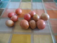  fregola sarda agli spinaci immagine 1 
