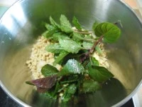 granulare di soia in insalata ricetta