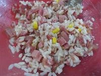 riso fresso mortadella e tonno immagine 4