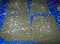 cannelloni alla borragine immagine 5