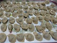 cappelletti al farro erbette e tartufo immagine 5