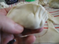 gyoza - ravioli giappone sfiziosi immagine p