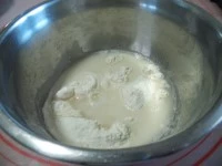 gyoza- ravioli giapponezi immagine 1