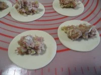 gyoza- ravioli giapponezi immagine 5