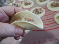 gyoza- ravioli giapponezi immagine 6
