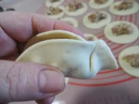 gyoza- ravioli giapponezi immagine 7
