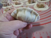 gyoza- ravioli giapponezi immagine 8