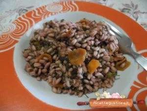 orzotto acetosa rossa scamorza di bufala ricetta