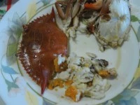 risotto al granchio blu immagine 1