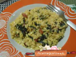 risotto bietola rossa e stracchino