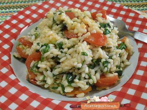 risotto rucola valcasotto