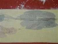 pappardelle con fiori edibili immagine 4