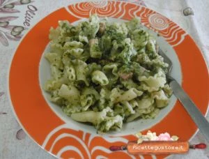 pasta cicoria e primo sale alla rucola ricetta