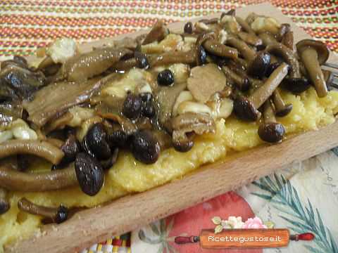 polenta integrale funghi scamorza