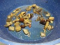 crema di castagne immagine 4