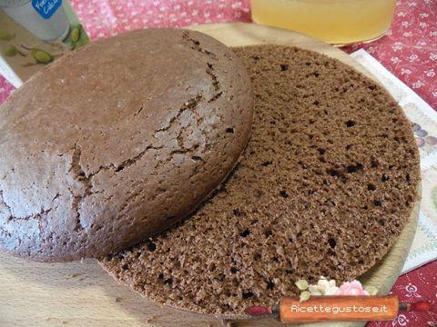 pan di spagna vegan al cacao
