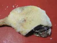 prosciutto di oca fatto in casa immagine 6