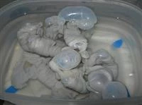 salsicce fatte in casa immagine 1