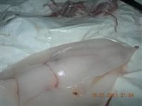 calamari al forno ricetta 2